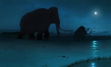 An illustration of woolly mammoths crossing the Arctic tundra.