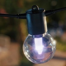 close-up view of new philips hue globe lights