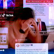 composite image of a woman with her hands in her face surrounded by tweets from trump and the white house