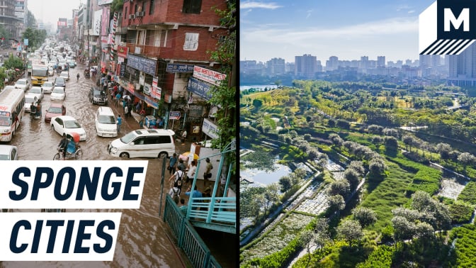 Split screen: on the left, an image shows cars stranded by a urban flood, while the image of the left is of a thriving city with a lot of green space. Caption reads: sponge cities.