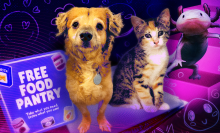 a composite image of a cute dog, cat, and a sign for a food pantry
